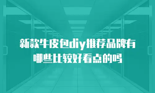 新款牛皮包diy推荐品牌有哪些比较好看点的吗