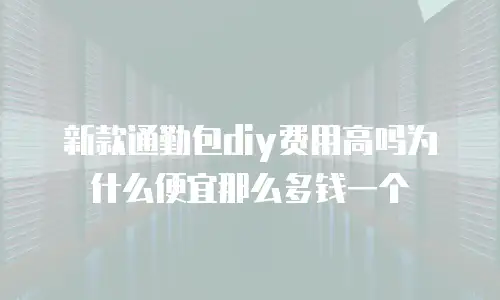 新款通勤包diy费用高吗为什么便宜那么多钱一个