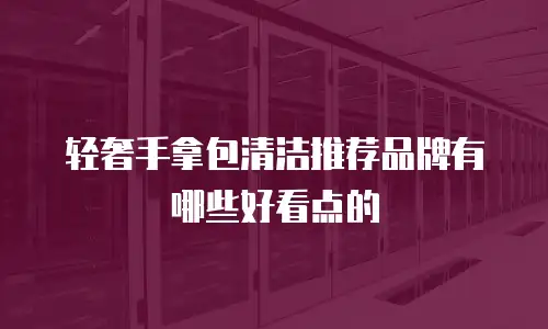 轻奢手拿包清洁推荐品牌有哪些好看点的