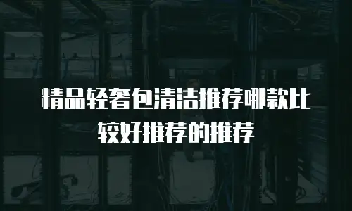 精品轻奢包清洁推荐哪款比较好推荐的推荐