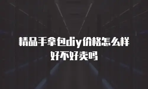 精品手拿包diy价格怎么样好不好卖吗