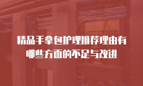 精品手拿包护理推荐理由有哪些方面的不足与改进