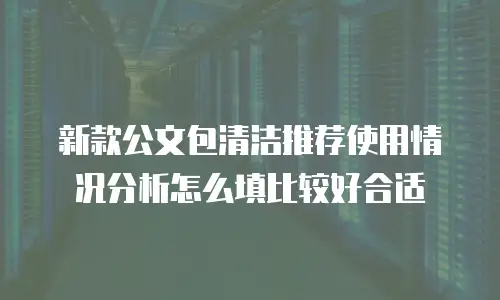 新款公文包清洁推荐使用情况分析怎么填比较好合适