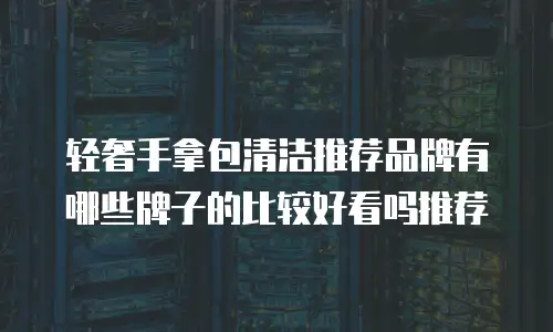 轻奢手拿包清洁推荐品牌有哪些牌子的比较好看吗推荐