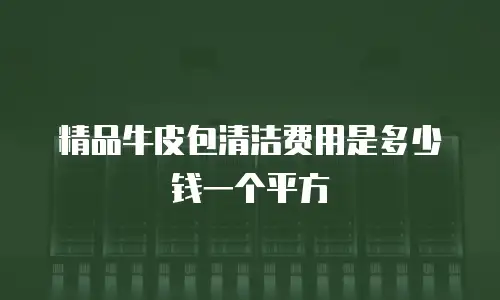 精品牛皮包清洁费用是多少钱一个平方