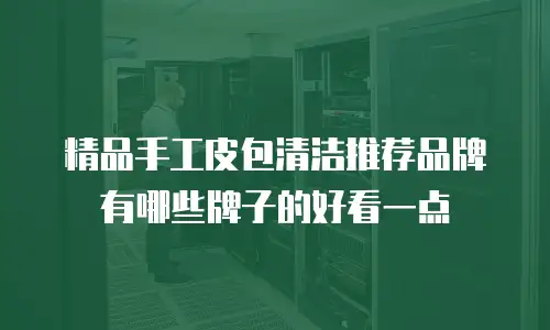 精品手工皮包清洁推荐品牌有哪些牌子的好看一点