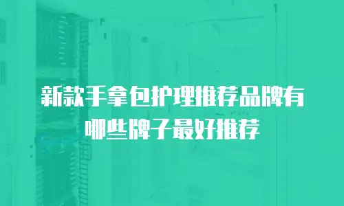 新款手拿包护理推荐品牌有哪些牌子最好推荐