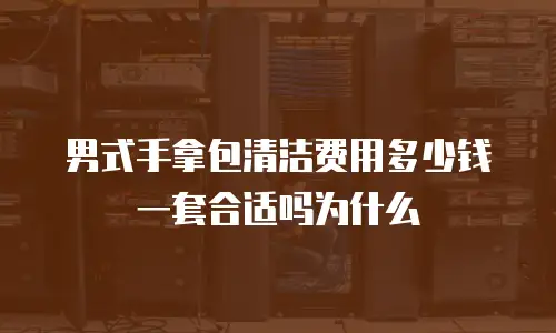男式手拿包清洁费用多少钱一套合适吗为什么