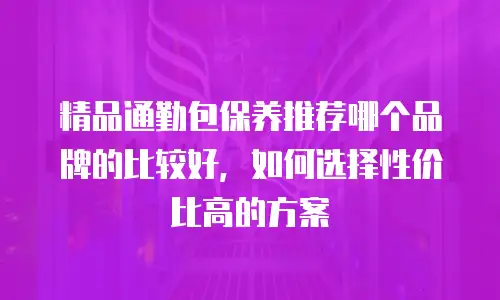 精品通勤包保养推荐哪个品牌的比较好，如何选择性价比高的方案