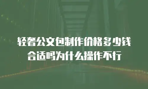 轻奢公文包制作价格多少钱合适吗为什么操作不行