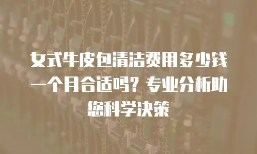 女式牛皮包清洁费用多少钱一个月合适吗？专业分析助您科学决策