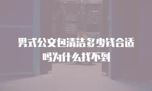 男式公文包清洁多少钱合适吗为什么找不到