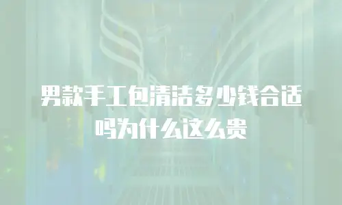 男款手工包清洁多少钱合适吗为什么这么贵