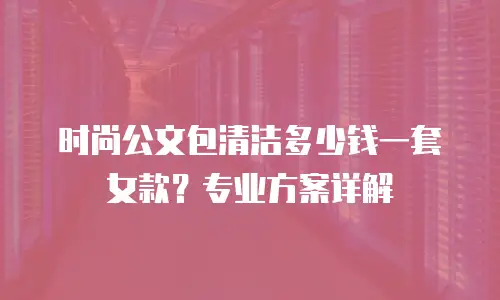 时尚公文包清洁多少钱一套女款？专业方案详解
