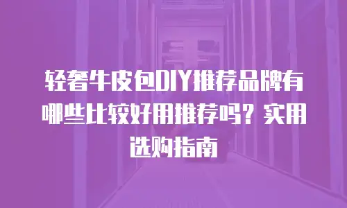 轻奢牛皮包DIY推荐品牌有哪些比较好用推荐吗？实用选购指南