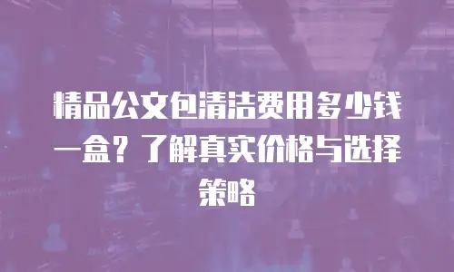 精品公文包清洁费用多少钱一盒？了解真实价格与选择策略