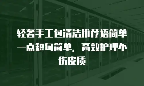 轻奢手工包清洁推荐语简单一点短句简单，高效护理不伤皮质