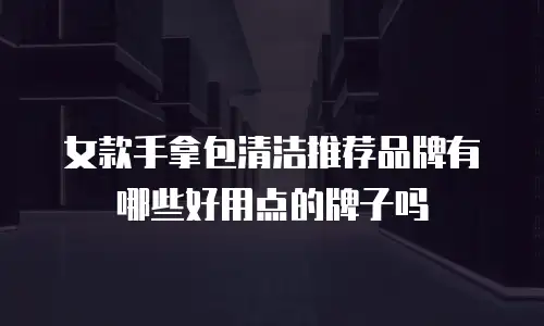 女款手拿包清洁推荐品牌有哪些好用点的牌子吗