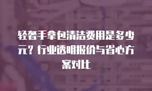 轻奢手拿包清洁费用是多少元？行业透明报价与省心方案对比