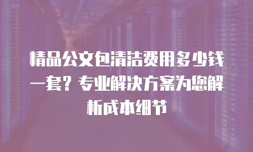 精品公文包清洁费用多少钱一套？专业解决方案为您解析成本细节