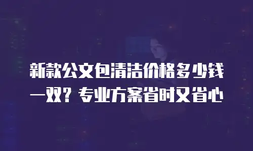 新款公文包清洁价格多少钱一双？专业方案省时又省心