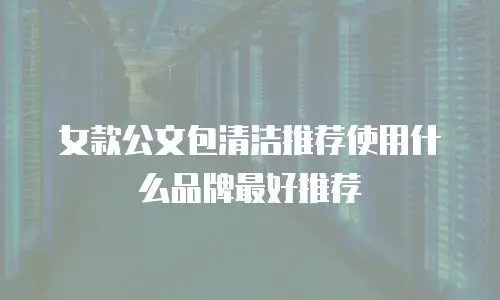 女款公文包清洁推荐使用什么品牌最好推荐
