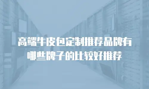 高端牛皮包定制推荐品牌有哪些牌子的比较好推荐