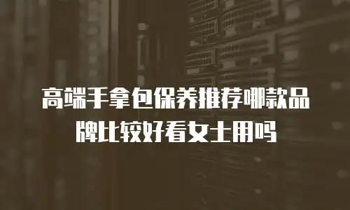 高端手拿包保养推荐哪款品牌比较好看女士用吗