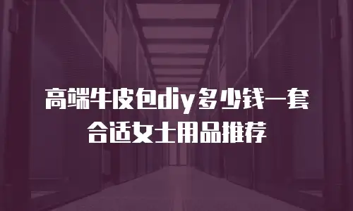 高端牛皮包diy多少钱一套合适女士用品推荐
