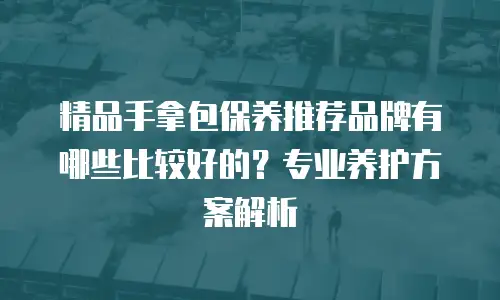 精品手拿包保养推荐品牌有哪些比较好的？专业养护方案解析
