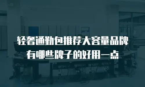 轻奢通勤包推荐大容量品牌有哪些牌子的好用一点