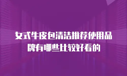 女式牛皮包清洁推荐使用品牌有哪些比较好看的