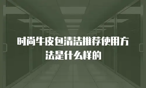 时尚牛皮包清洁推荐使用方法是什么样的