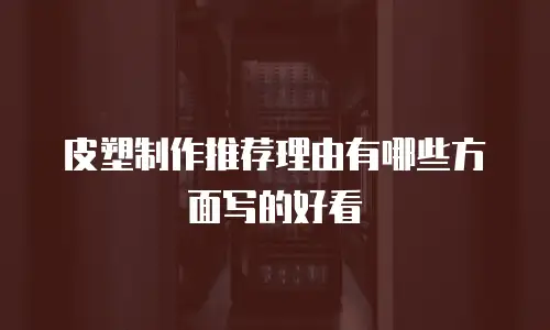 皮塑制作推荐理由有哪些方面写的好看