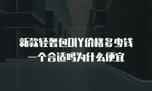 新款轻奢包DIY价格多少钱一个合适吗为什么便宜