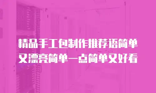 精品手工包制作推荐语简单又漂亮简单一点简单又好看