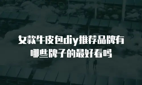 女款牛皮包diy推荐品牌有哪些牌子的最好看吗