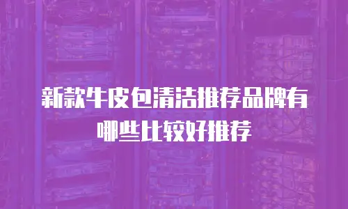 新款牛皮包清洁推荐品牌有哪些比较好推荐