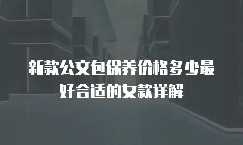 新款公文包保养价格多少最好合适的女款详解