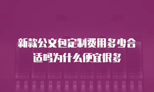 新款公文包定制费用多少合适吗为什么便宜很多