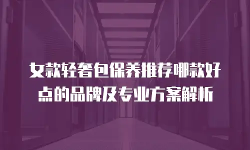女款轻奢包保养推荐哪款好点的品牌及专业方案解析