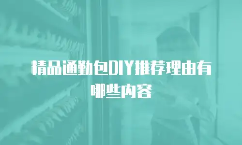 精品通勤包DIY推荐理由有哪些内容