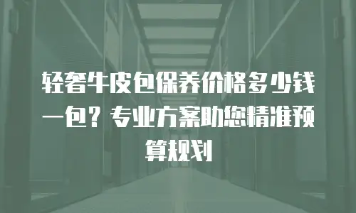 轻奢牛皮包保养价格多少钱一包？专业方案助您精准预算规划