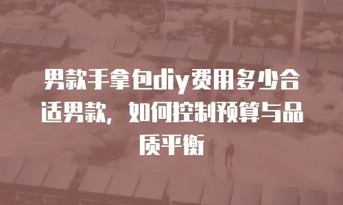 男款手拿包diy费用多少合适男款，如何控制预算与品质平衡