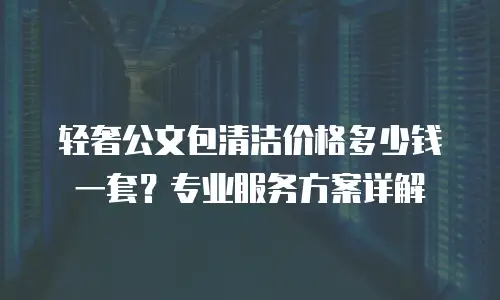 轻奢公文包清洁价格多少钱一套？专业服务方案详解