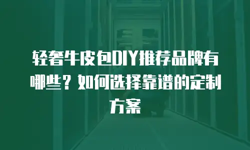 轻奢牛皮包DIY推荐品牌有哪些？如何选择靠谱的定制方案