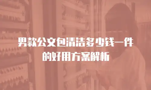 男款公文包清洁多少钱一件的好用方案解析