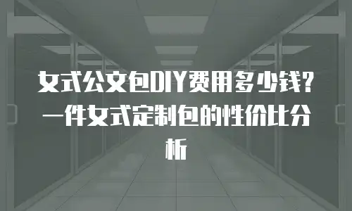女式公文包DIY费用多少钱？一件女式定制包的性价比分析