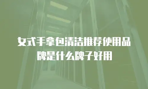 女式手拿包清洁推荐使用品牌是什么牌子好用
