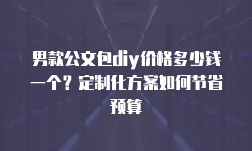 男款公文包diy价格多少钱一个？定制化方案如何节省预算